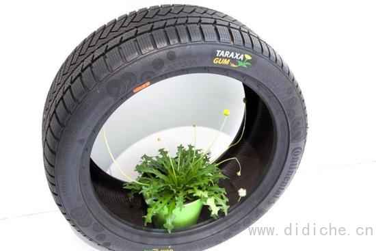 American scientists say that food waste, eggshells and tomato skins, can be a good substitute for carbon black in tires