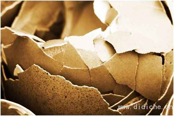 American scientists say that food waste, eggshells and tomato skins, can be a good substitute for carbon black in tires