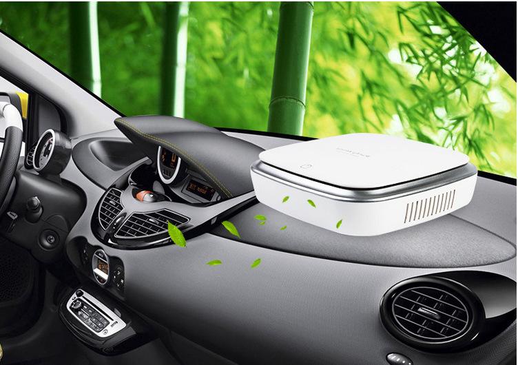 Essential car supplies in the car