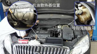 How to Identify a Fault in an Oil Cooler?