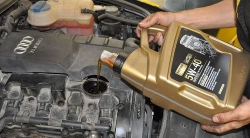 Can Oil Filter Cleanser Really Eliminate Oil Leaks?