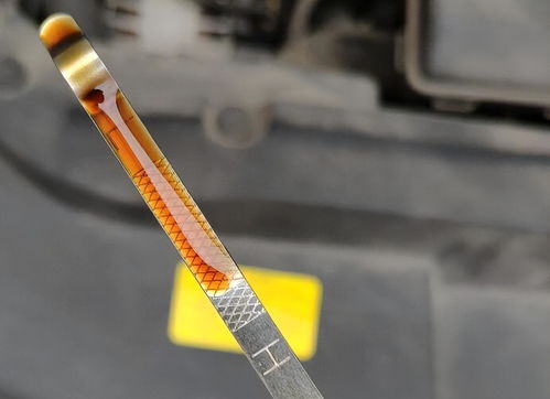 Differences Between SAE and SN Lubricants: A Guide for Automotive Industry Professionals