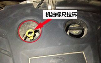 Is it safe to run the oil level just above the top mark?