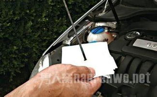 Remediation Strategies for Car Oil Leaks