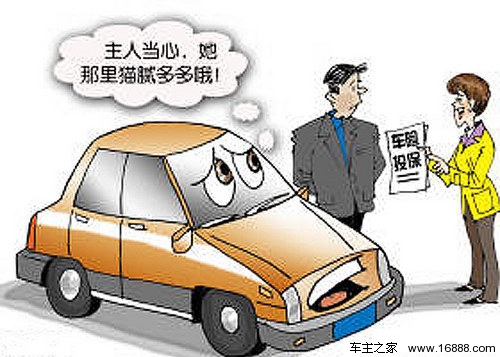 Where to get car insurance?Best value for money phone insurance