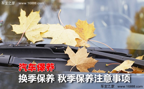 13 Autumn Car Maintenance Guidelines