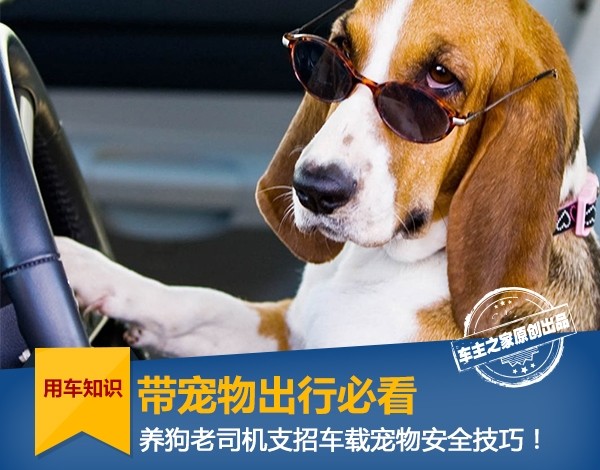 How to bring your dog on a trip that says go away when you go home for the New Year?