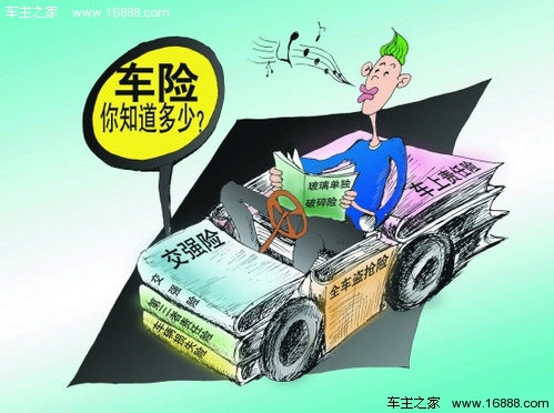 How to buy auto insurance for a new car in the new year?Different types of insurance for old and new vehicles