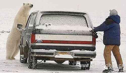 100 cold knowledge about cars 100 cold knowledge about cars