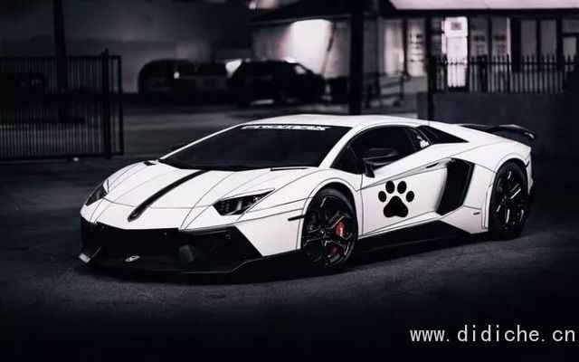 Cold knowledge of dogs and cars! -Talking about the Year of the Dog Cold knowledge of dogs and cars! -Talking about the Year of the Dog